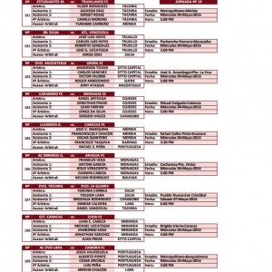 designaciones_apertura_2016_19_877
